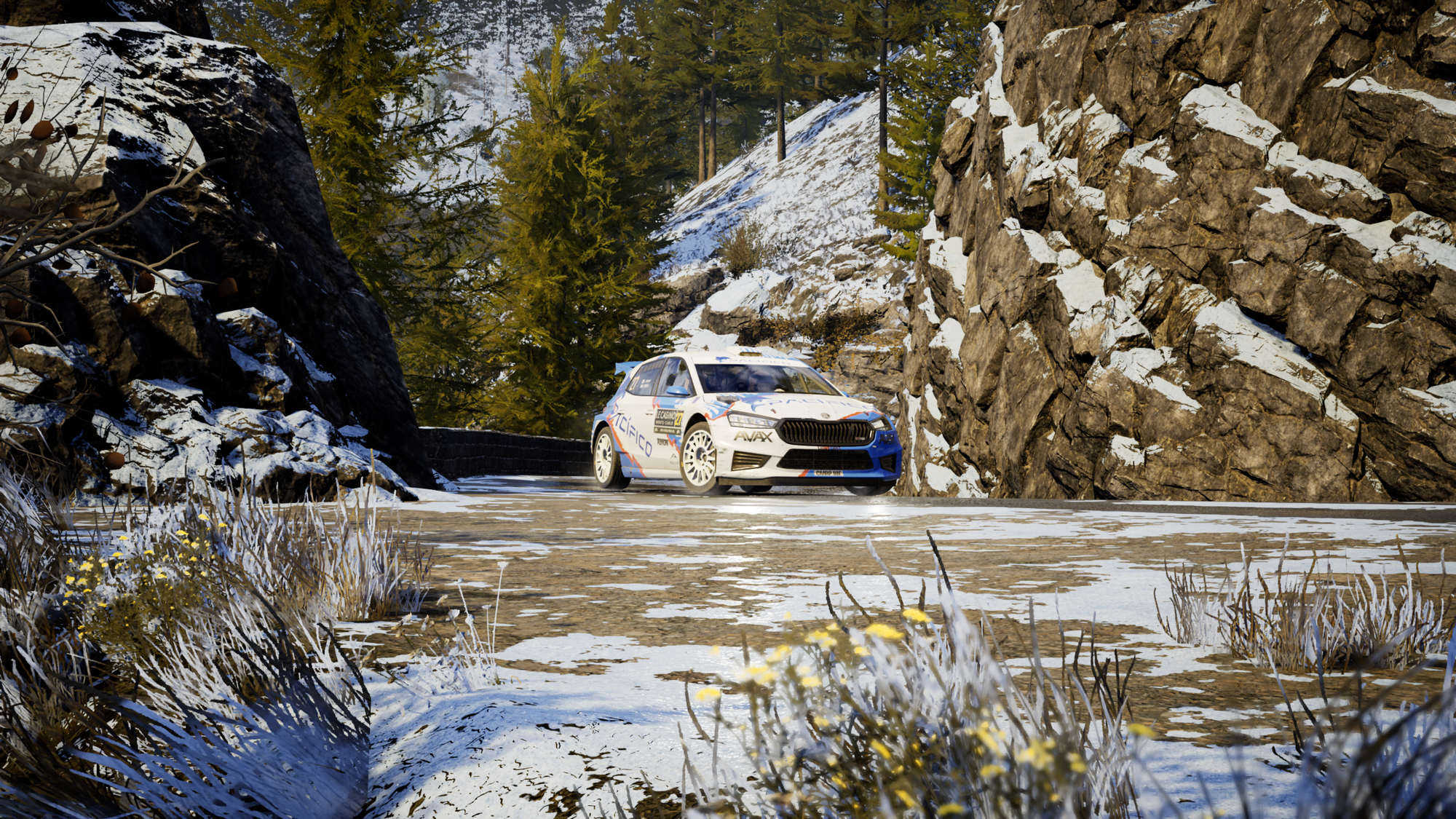 Memoirs of a EA Sports WRC League
