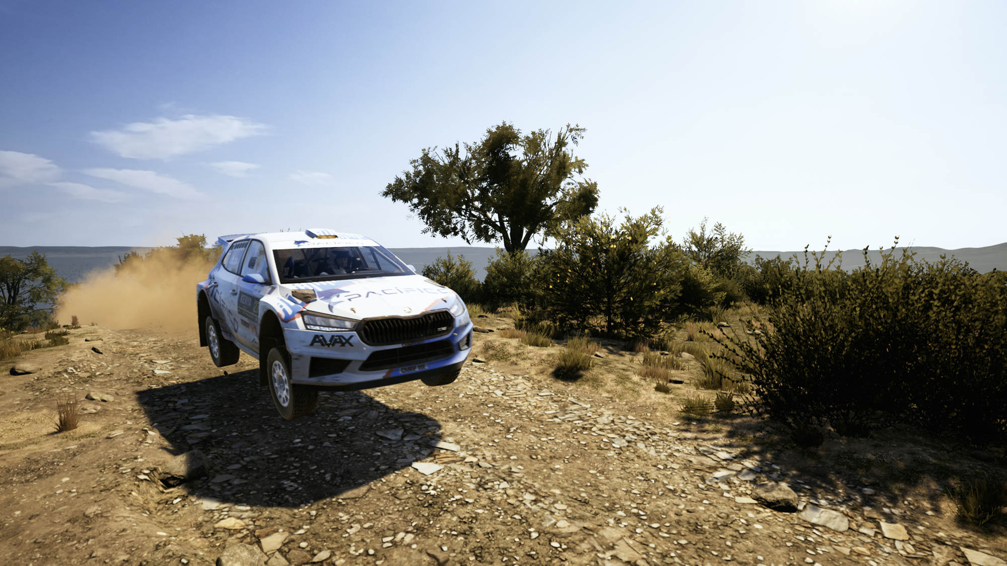 Memoirs of a EA Sports WRC League