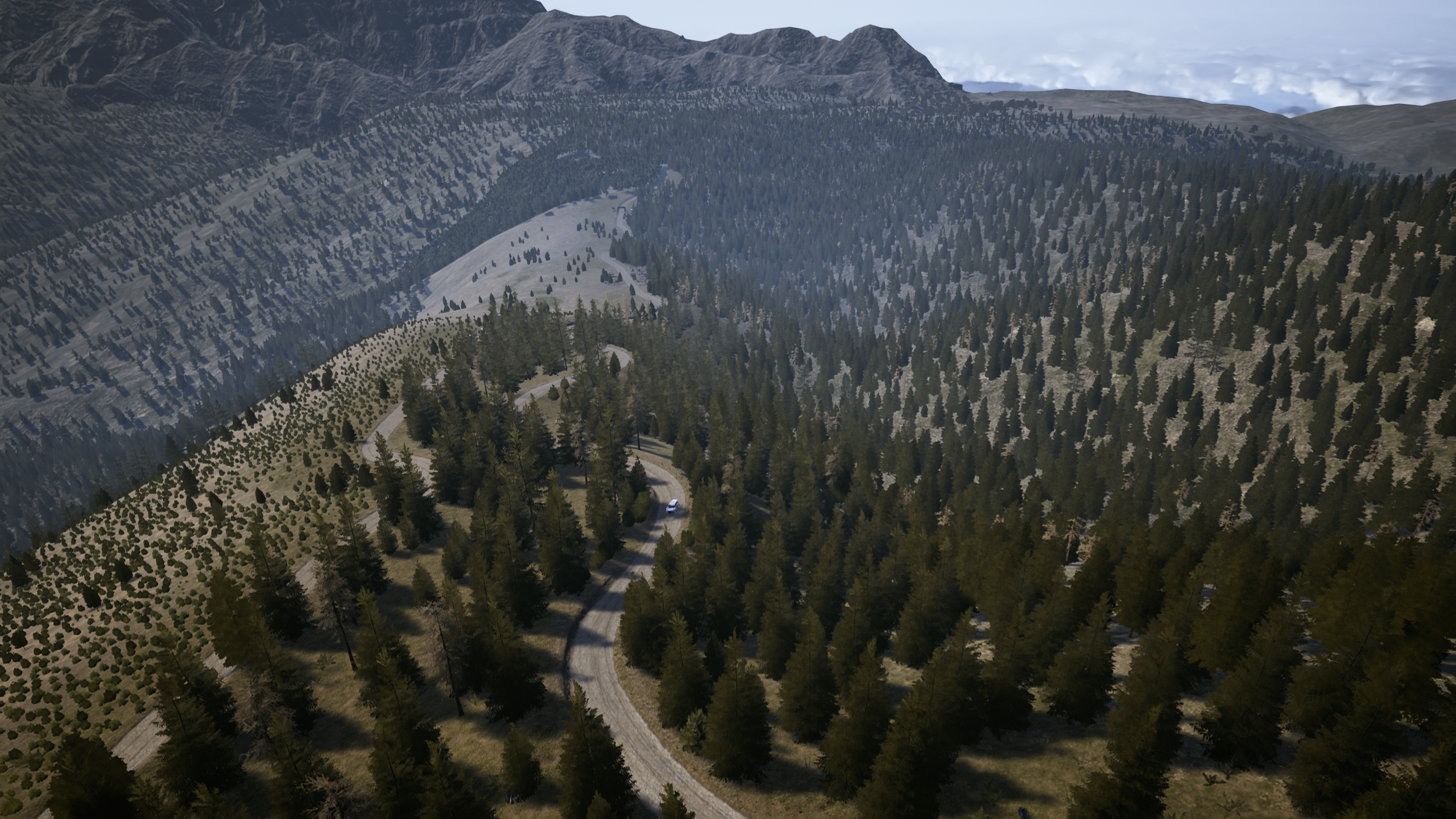Memoirs of a EA Sports WRC League