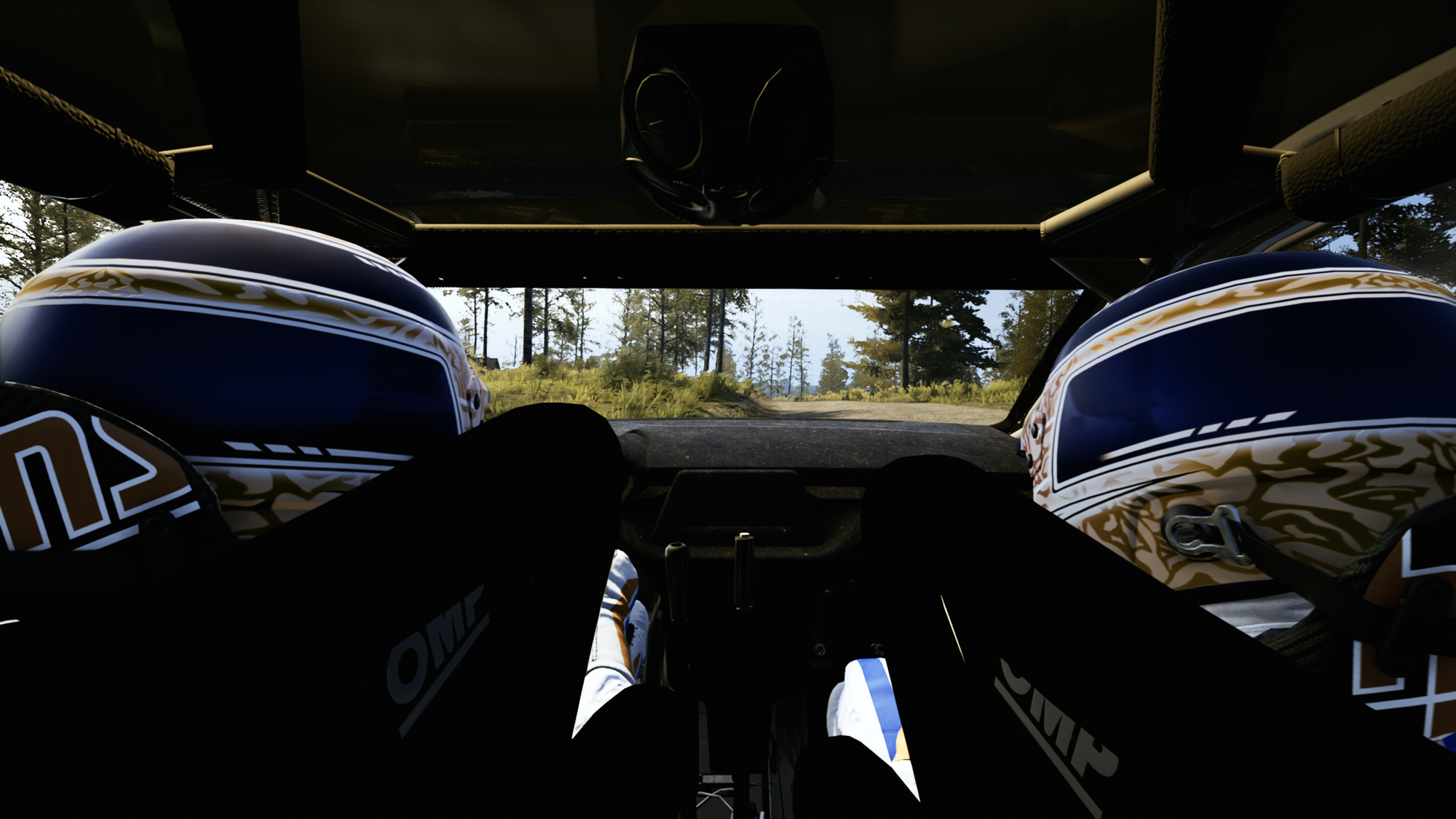Memoirs of a EA Sports WRC League